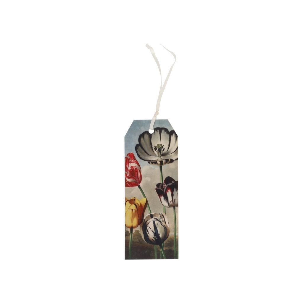 MARQUE PAGES AVEC RUBAN ENCYCLOPEDIA TULIPE CREME