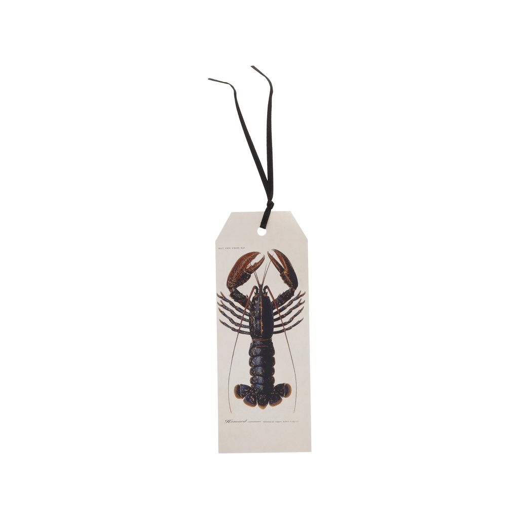 MARQUE PAGES AVEC RUBAN ENCYCLOPEDIA HOMARD NOIR