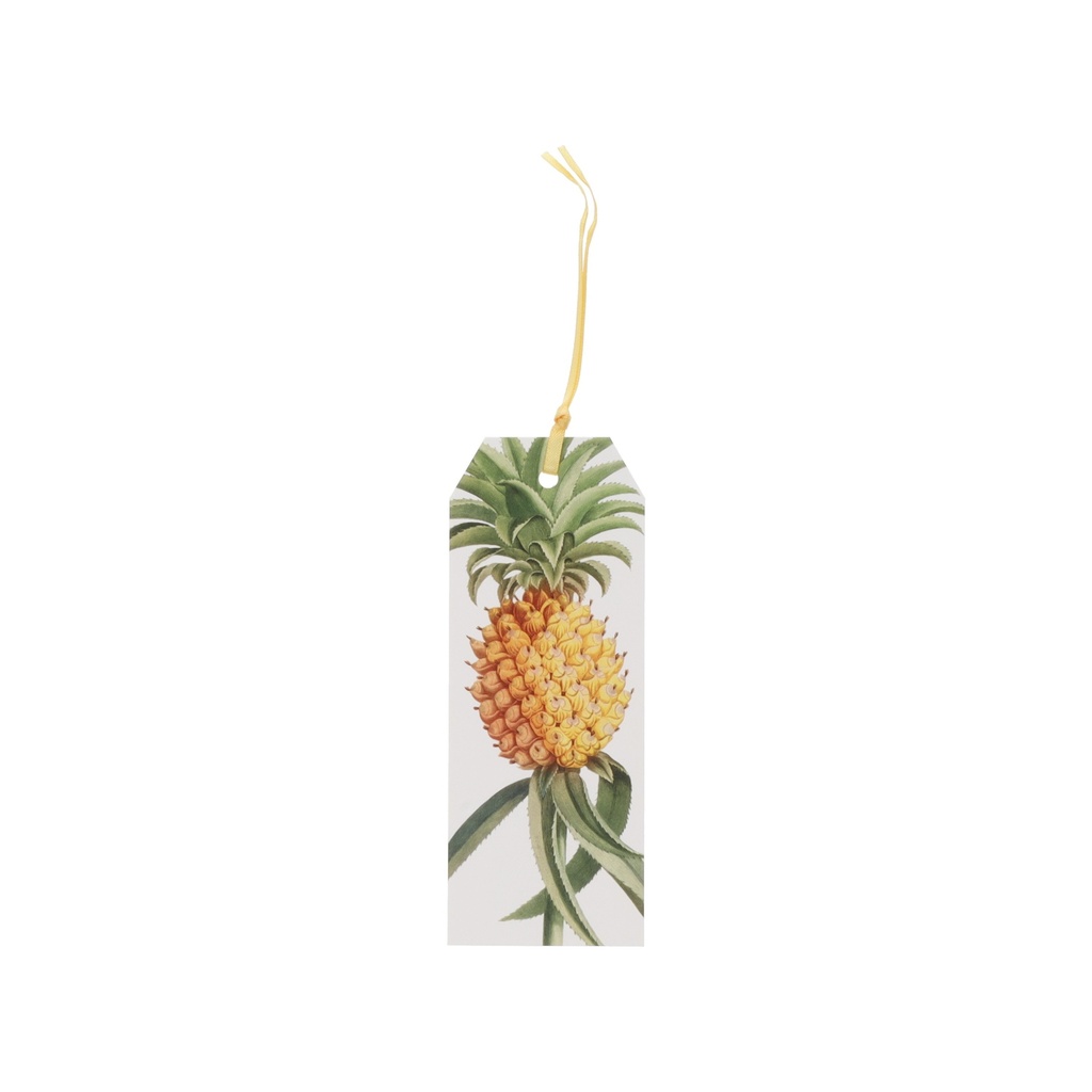 MARQUE PAGES AVEC RUBAN ENCYCLOPEDIA ANANAS JAUNE