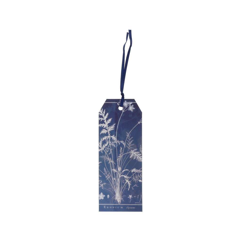 MARQUE PAGES AVEC RUBAN ENCYCLOPEDIA CYANOTYPE BLEU