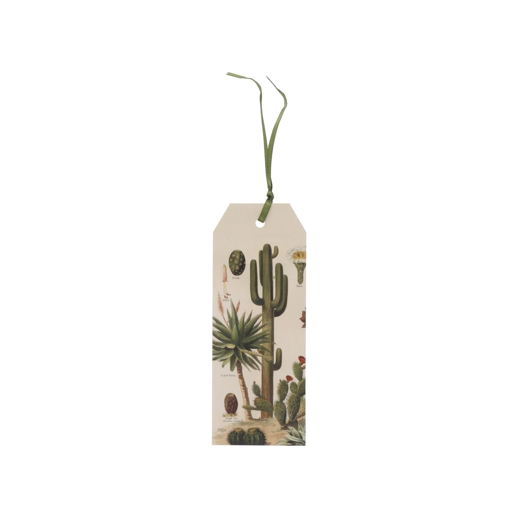 MARQUE PAGES AVEC RUBAN ENCYCLOPEDIA CACTUS VERT