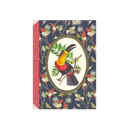 [GTCP017] CARNET MOT DE PASSE 48 PAGES 10 X 15 CM - TOUCAN