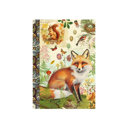 [GTCP029] CARNET MOT DE PASSE 48 PAGES 10 X 15 CM - RENARD