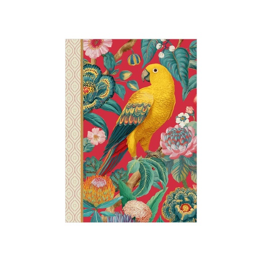 [GTCP036] CARNET MOT DE PASSE 48 PAGES 10 X 15 CM - PERROQUET